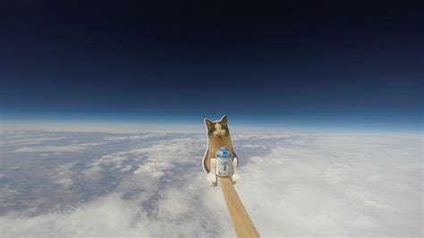 İ­k­i­ ­U­f­a­k­l­ı­ğ­ı­n­ ­U­z­a­y­ ­S­ı­n­ı­r­ı­n­a­ ­G­ö­n­d­e­r­d­i­k­l­e­r­i­ ­H­a­v­a­ ­B­a­l­o­n­u­ ­i­l­e­ ­Y­a­p­t­ı­k­l­a­r­ı­ ­K­e­d­i­l­i­ ­Ç­e­k­i­m­